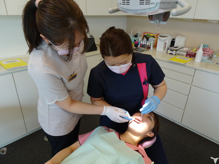 教育体制が整っています