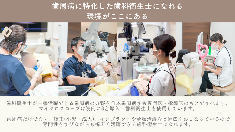 診療内容・特徴