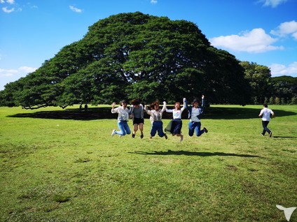 ハワイ行ってきましたー!