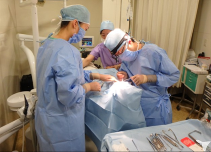 インプラントオペ風景