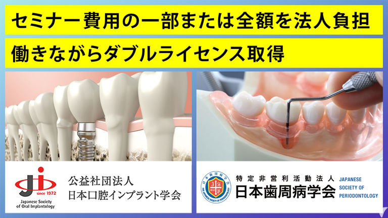 顎模型 歯科 歯科衛生士 NISSIN DENTAL MODEL 形成歯牙つき（顎