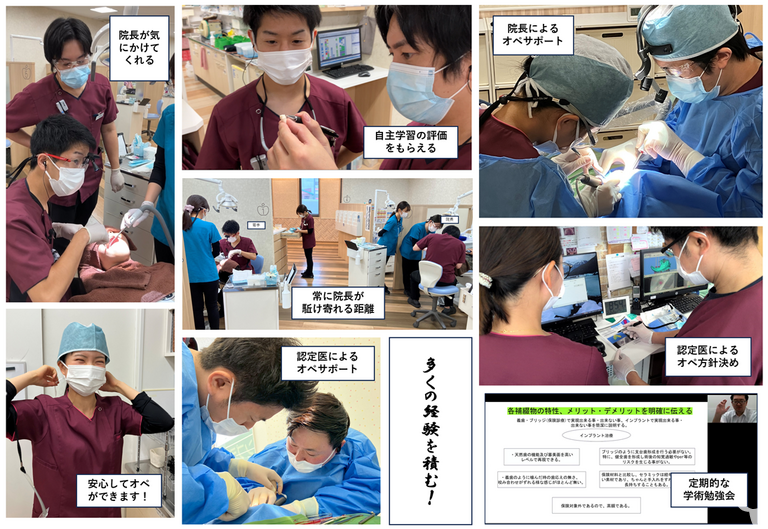 新人先生を見守ります