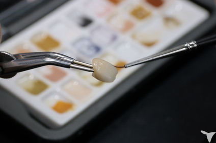 ステインを極める