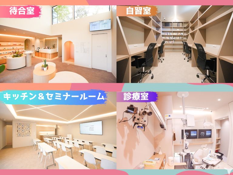 学べる×キレイが魅力!!