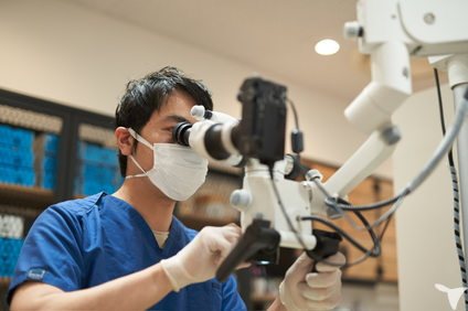ピリピリ雰囲気一切なし