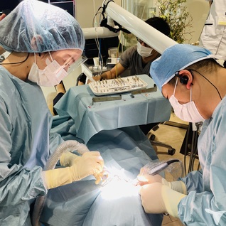 インプラント実績多数