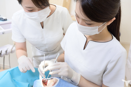 医療法人蒼風会 Sky Dental Clinic 京都府 の22年新卒歯科技工士求人 グッピー新卒