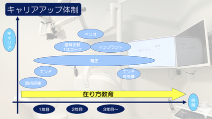 1年目からのキャリア