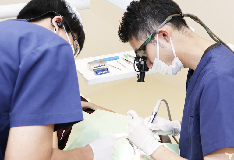 充実した教育プログラム