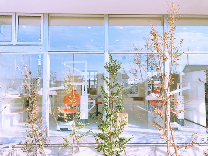 診療室外側からの外観