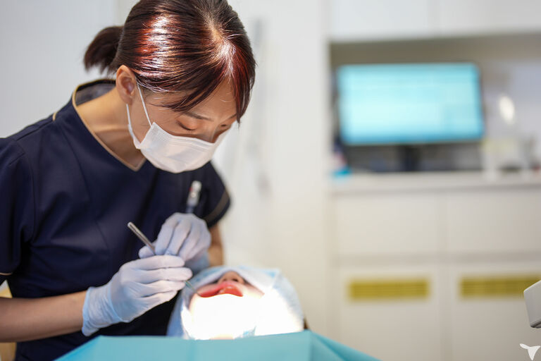 メンテに集中ノルマなし