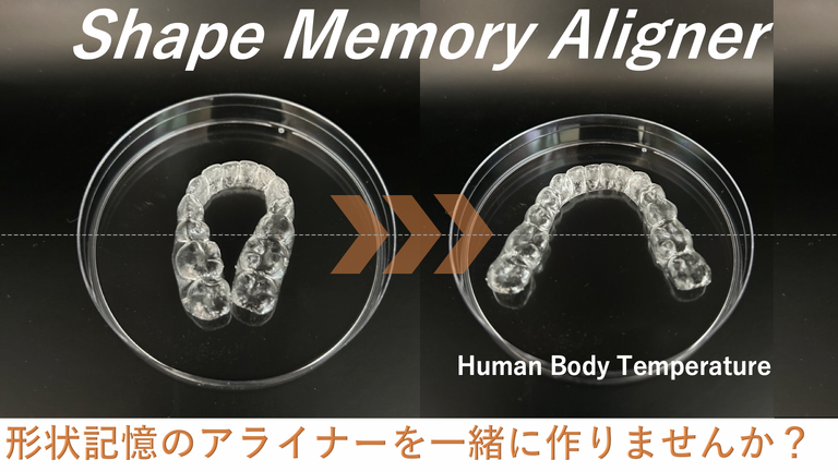 形状記憶のアライナー